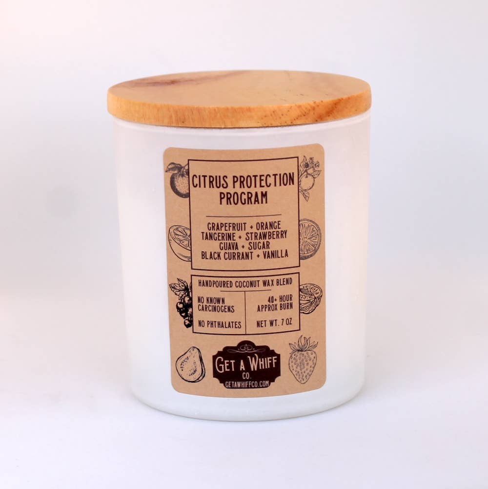 Sweet Orange Soy/Coconut Candle | Non Toxic Candle