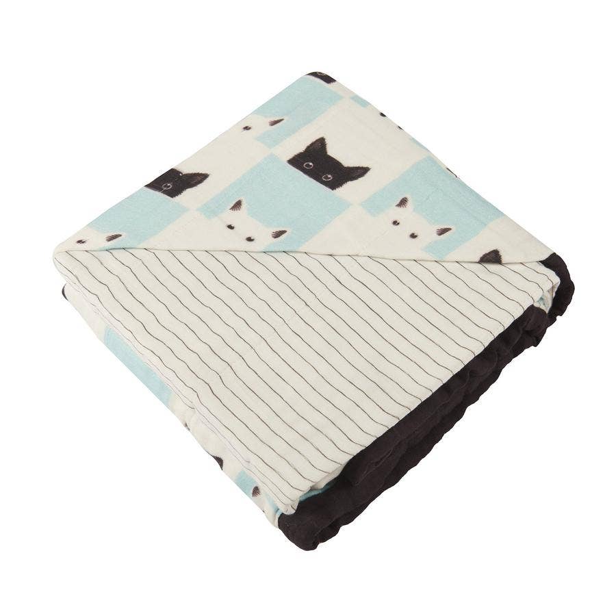 Peek-a-boo Cats and Pencil Stripe Blanket