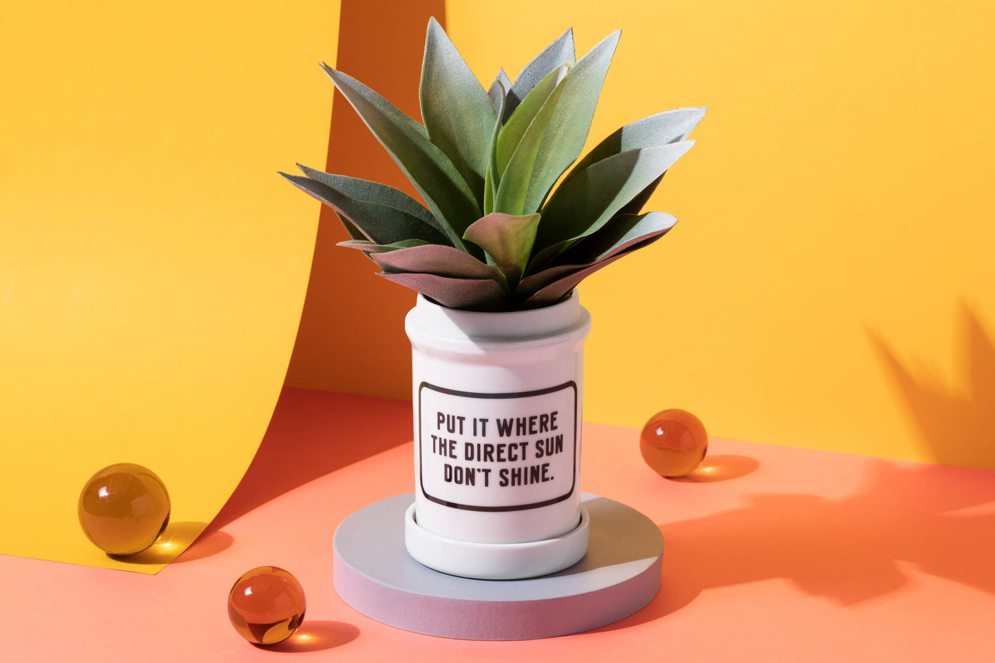 Brass Monkey Put It Where The Direct Sun Don't Shine Planter w/ Drip Tray