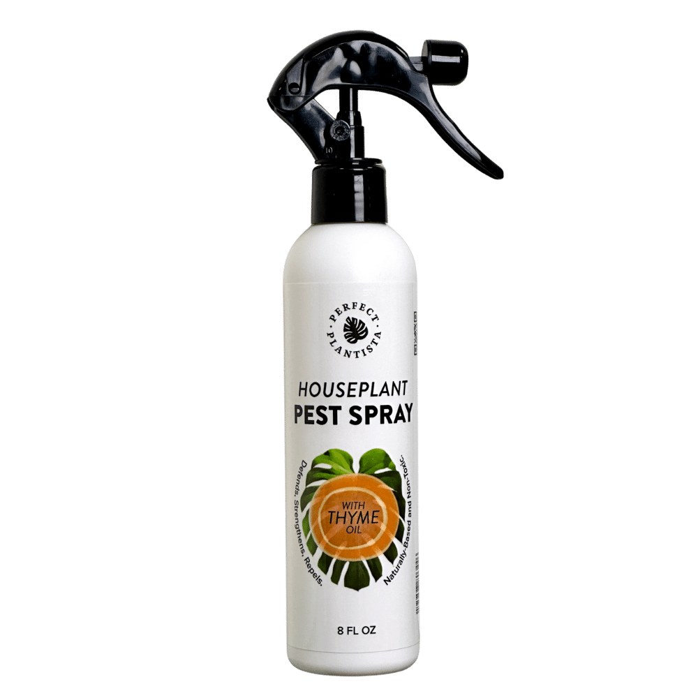 essential oils for indoor plant pests Natural + Non-Toxic Houseplant Pest Spray – olivebranchlaserworks