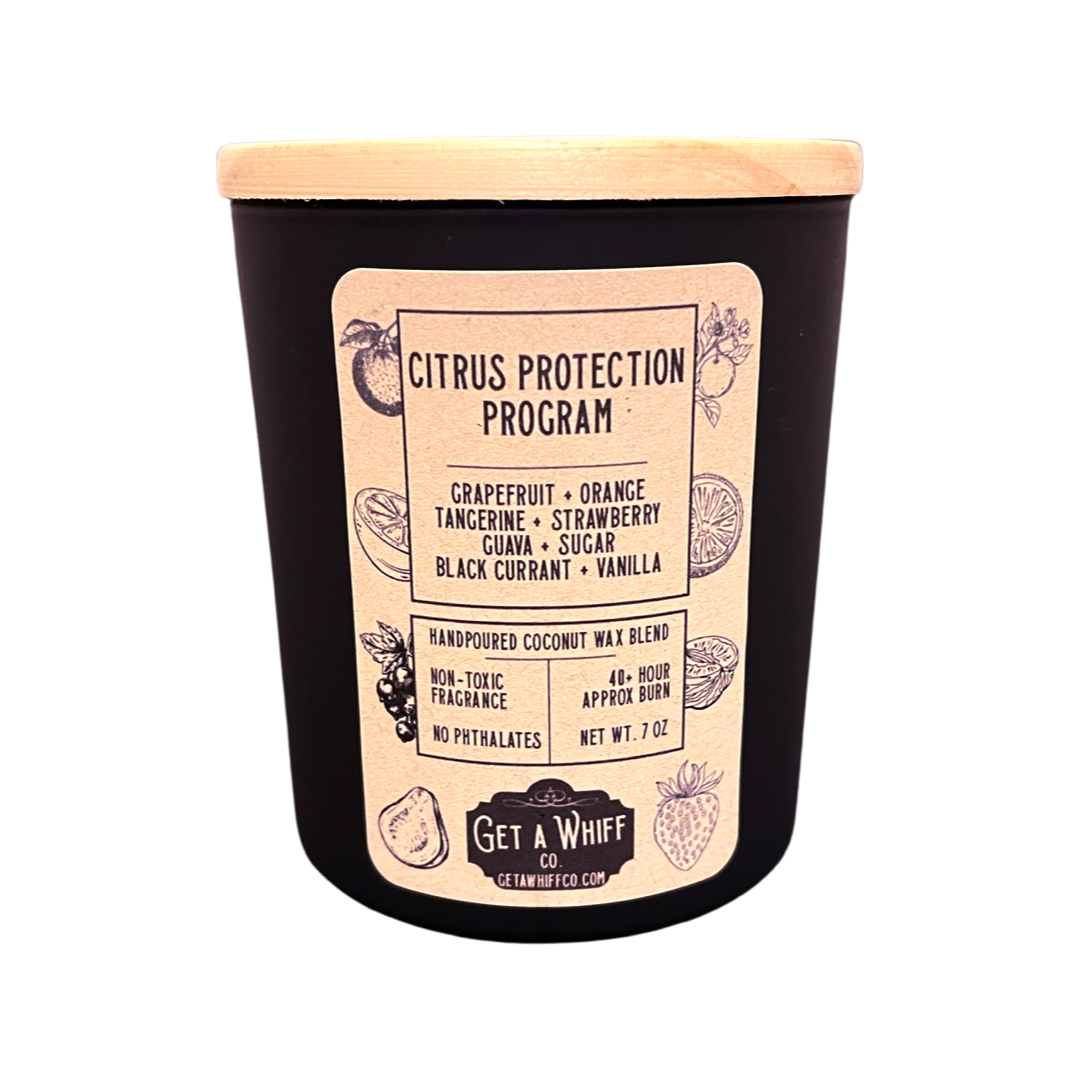 Sweet Orange Soy/Coconut Candle | Non Toxic Candle