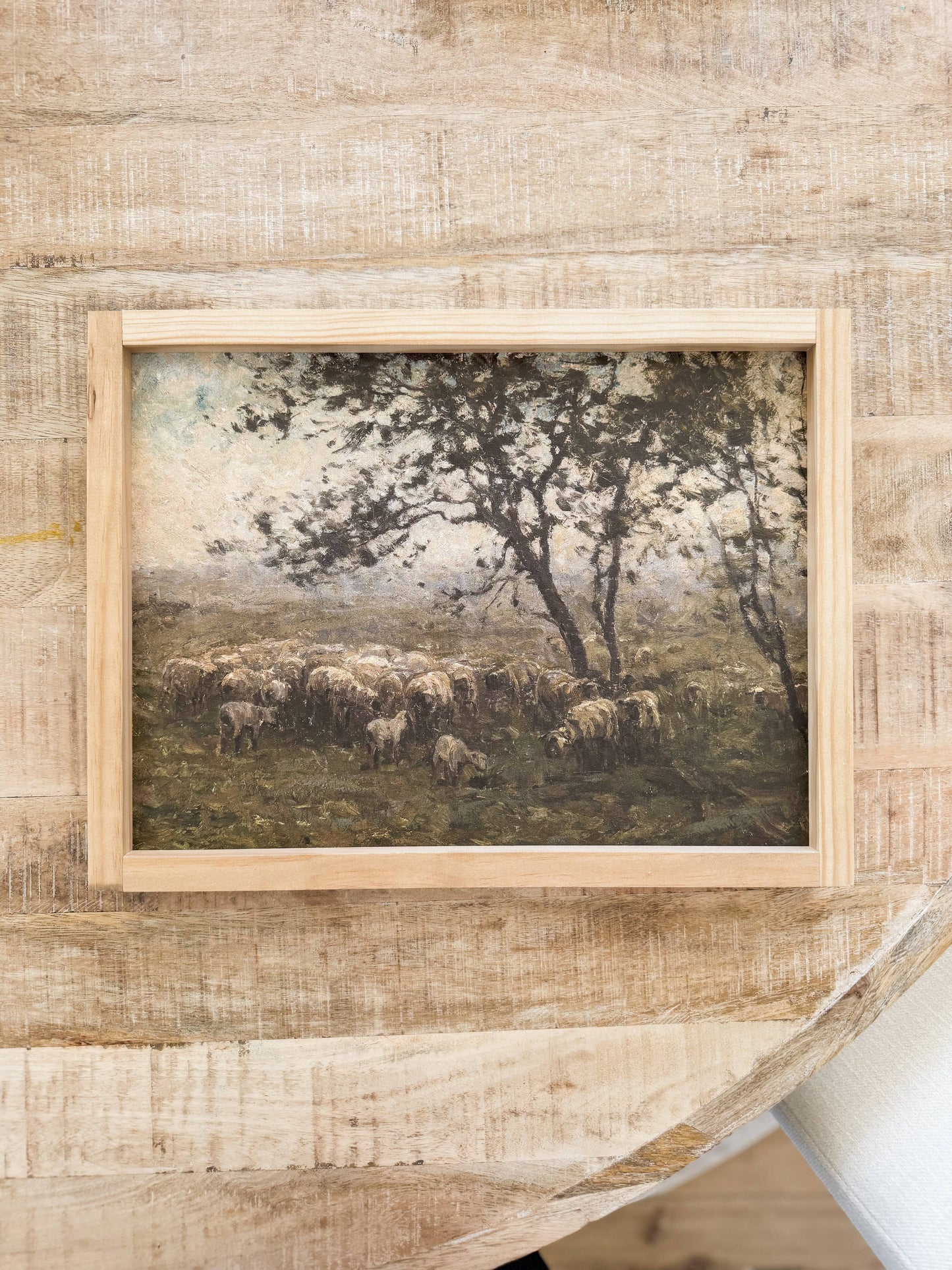 Moody Sheep | Spring 2025 Wood Signs