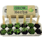 Herb Garden Grow Kit