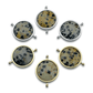 Dalmatian Jasper Crystal Element