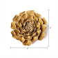 English Garden Ceramic Flower Wall Art Caramel Charm Peony