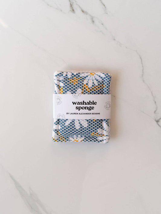 Washable Sponge