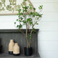 35" TEA LEAF TREE IN BLACK POT