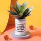Brass Monkey Put It Where The Direct Sun Don't Shine Planter w/ Drip Tray