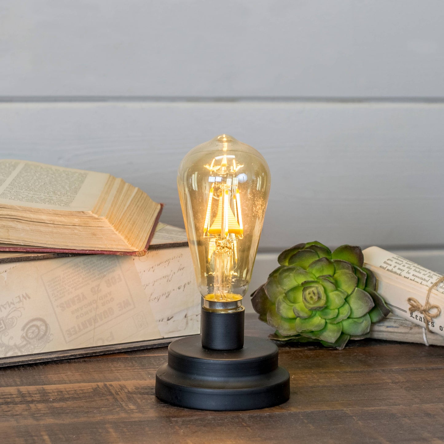 Decorative Led Edison Bulb