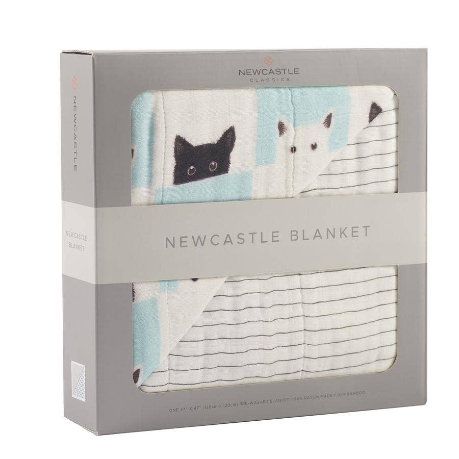 Peek-a-boo Cats and Pencil Stripe Blanket