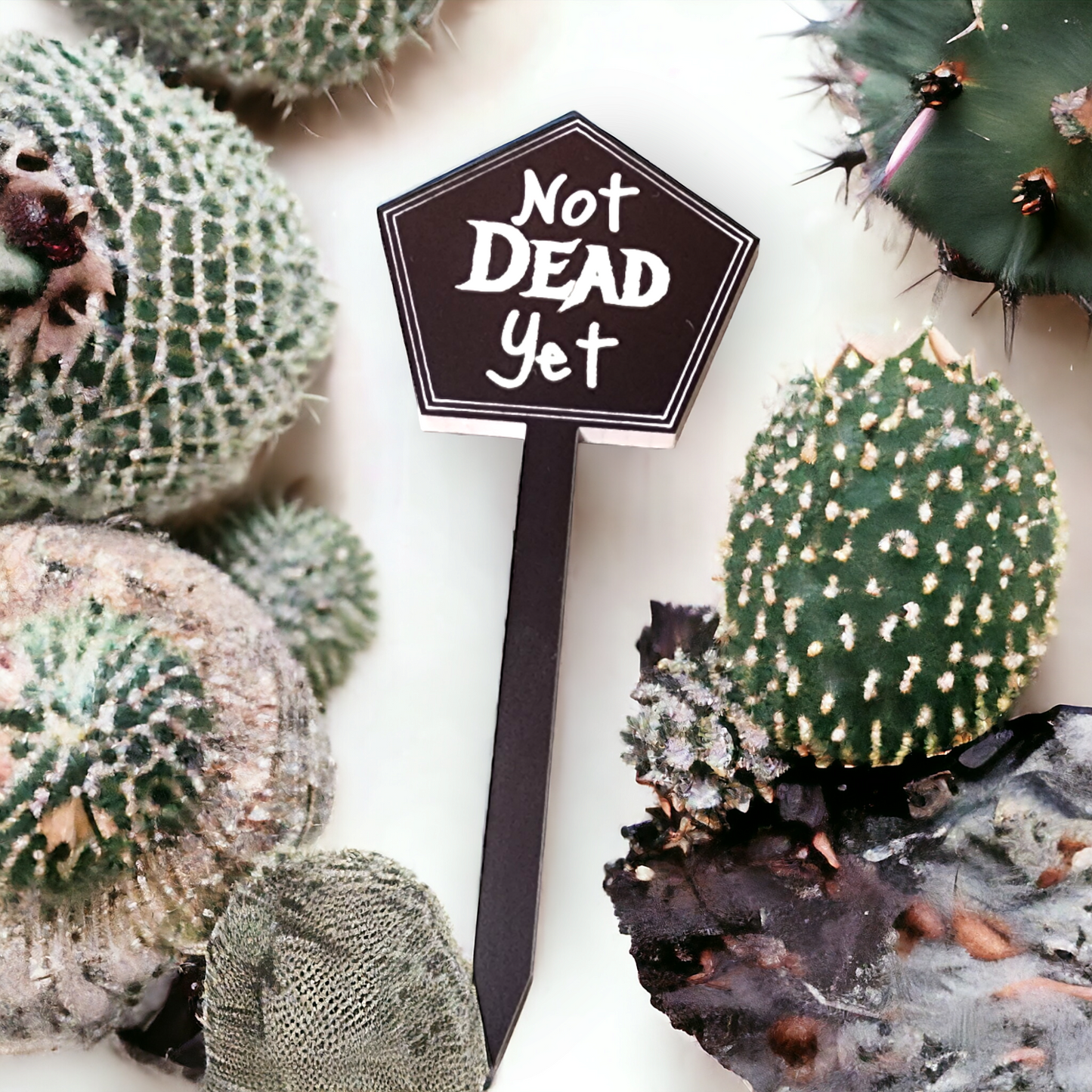 Snarky Plant Stakes