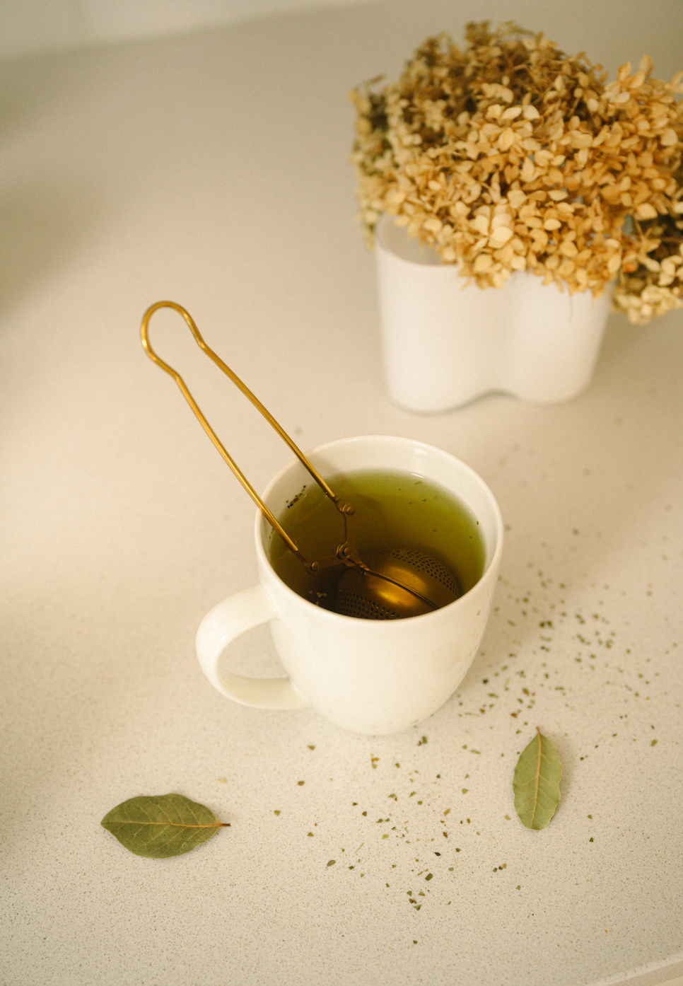 Stainless Steel Tea Strainer | Earth Day Bestseller