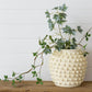 Ivory Textured Knot Cement Vase, Lg (PC)