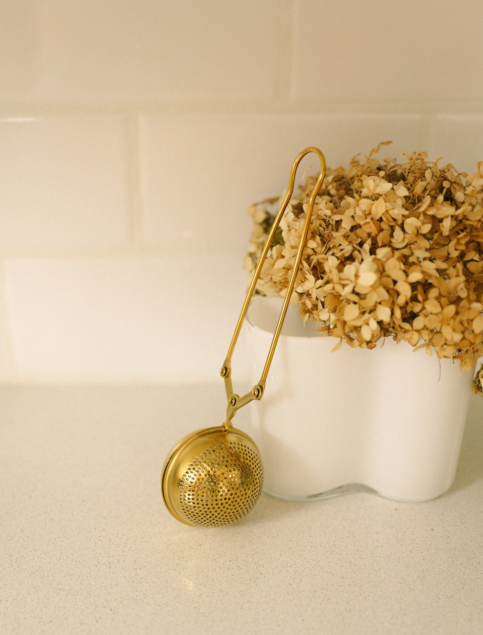 Stainless Steel Tea Strainer | Earth Day Bestseller