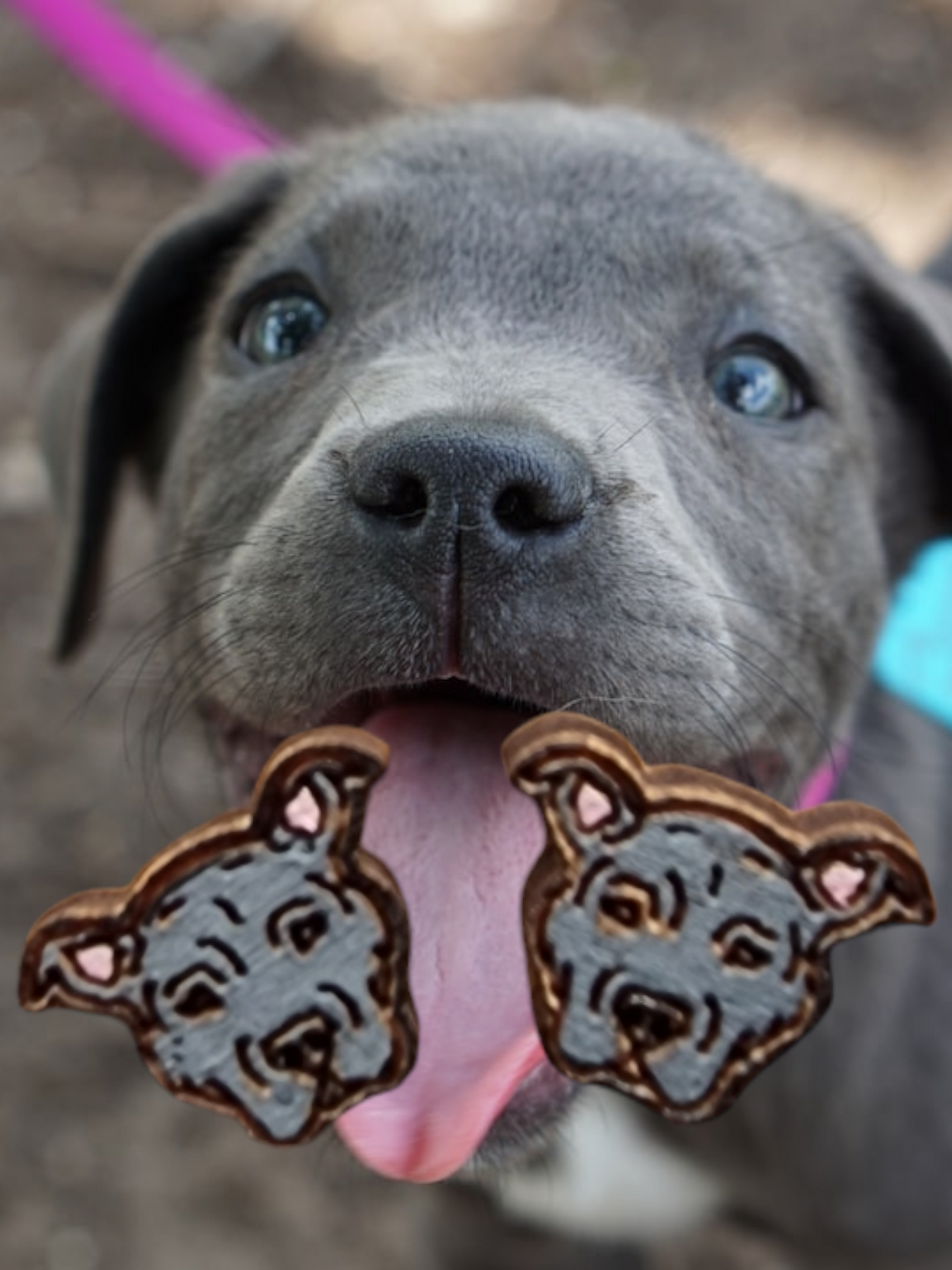 Blue Pit Bull Stud Earrings